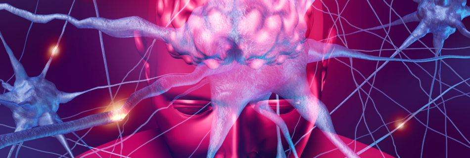 Human brain neurology and active neurons connections as a nervous system anatomy and neurological activity with 3D render elements.