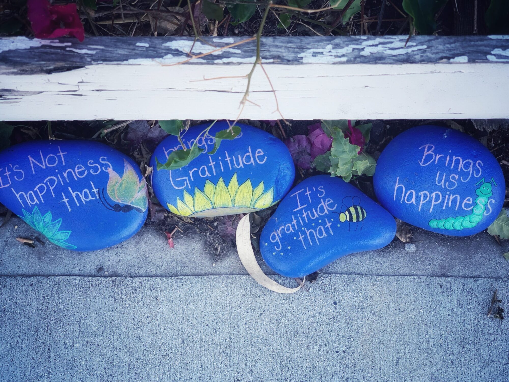 Blue painted beach rocks with images and words on them. The words are 'It's not happiness that brings Gratitude. It's gratitude that brings us happiness.